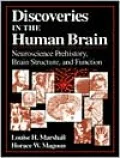 Discoveries in the Human Brain: Neuroscience Prehistory, Brain Structure, and Function