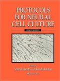 Protocols for Neural Cell Culture