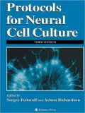 Protocols for Neural Cell Culture