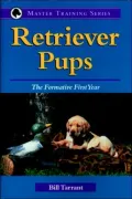 Retriever Pups : The Formative First Year