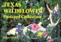 Texas Wildflower Postcard Collection