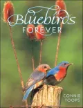 Bluebirds Forever