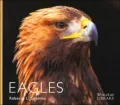 Eagles