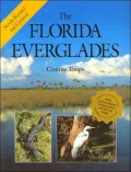 Florida Everglades