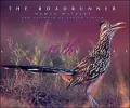 Roadrunner
