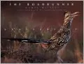Roadrunner