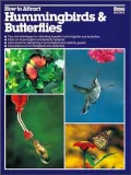 How to Attract Hummingbirds and Butterflies