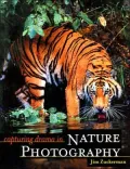 Capturing Drama of Nature Photography