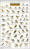 Mac's Field Guide to Southern California Park Backyard Birds