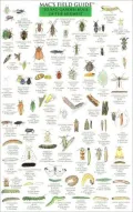 Mac's Field Guide to Bad Garden Bugs of the Midwest