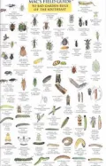 Mac's Field Guide to Southeast Garden Bugs