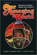 Our Amazing World: Wonders Hidden Below the Surface