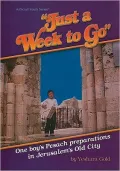 Just a Week to Go: One Boy's Pesach Preparations in Jerusalem's Old City