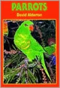 Parrots