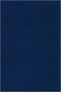 Godly People: Essays On English Protestantism and Puritanism (History Series, 23)
