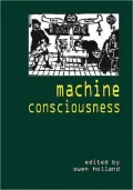 Machine Consciousness