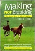 Making Not Breaking