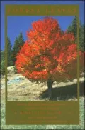 Forest Leaves : How to Identify Trees and Shrubs of Northern New England