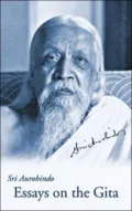 Essays on the Gita