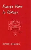 Energy Flow in Biology
