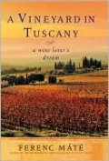 Vineyard in Tuscany