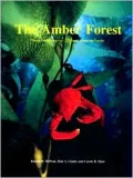 Amber Forest the Beauty and Biology of California's Submarine Forest