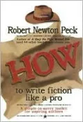 How to Write Fiction like a Pro: A Simple-to-Savvy Toolkit for Aspiring Authors