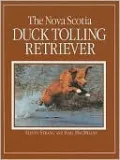 The Nova Scotia Duck Tolling Retriever