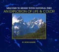 Welcome to Grand Teton National Park: An Explosion of Life & Color