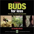 Buds for Less: Grow Eight Ounces of Marijuana on a $50 Budget