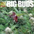 Ed Rosenthal's Big Buds 2012 Calendar