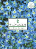 Wildflowers of the Smokies