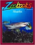 Sharks (Zoobooks Series)