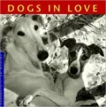 Dogs in Love