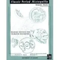 Classic Period Mixtequilla, Veracruz, Mexico: Diachronic Inferences from Residential Investigations