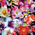 500 Flowers: A celebration of the natural world