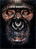 James and Other Apes