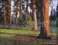 Oregon Wild : Endangered Forest Wilderness