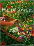 How to Grow Wildflowers in the Southwest