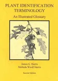 Plant Identification Terminology