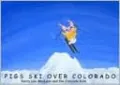 Pigs Ski over Colorado: The Top Ten Reasons Winter Is the Piggies Favorite Season