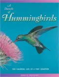 Dazzle of Hummingbirds: The Colorful Life of a Tiny Scrapper (London Town Wild Life Series)
