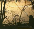 Of This Place and Elsewhere : The Films and Photography of Peter Mettler