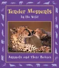 Tender Moments in the Wild: Animals and Their Babies