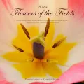 2014 Flowers of the Fields Calendar