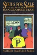 Souls for Sale: The Diary of an Ex-Colored Man  Conflict and Compromise of Second-Generation Advocacy in the Post-Civil Rights Era