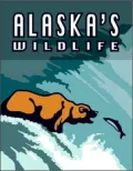 Alaska's Wildlife