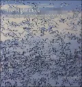 The Flight Deck: Digital Rhythms of Our National Wildlife Refuges