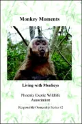 Monkey Moments