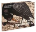 Strange and Wonderful: An Informal Visual History of Manuscript Books and Albums